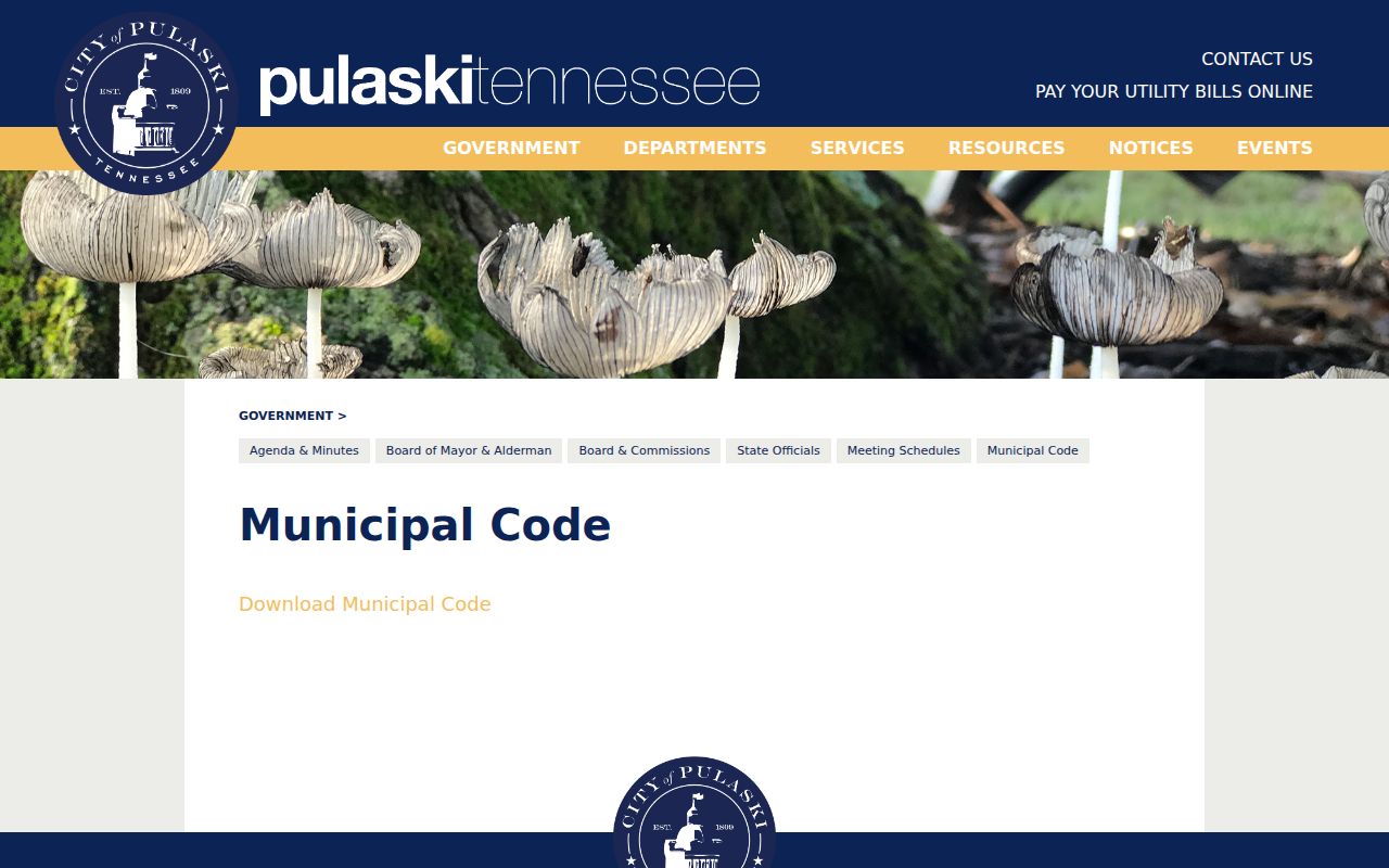 Pulaski court records municipal code source